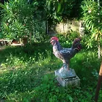 Il Giardino Del Gallo 4* Foligno