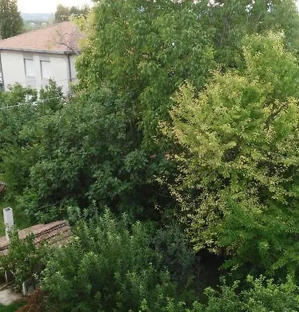 Il Giardino Del Gallo