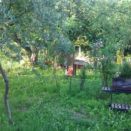 Bed and breakfast Il Giardino Del Gallo