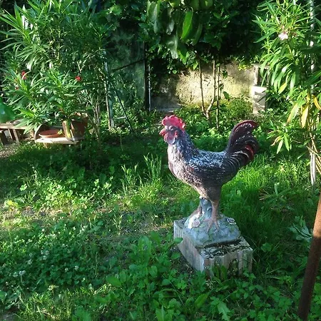 Il Giardino Del Gallo 3* Foligno