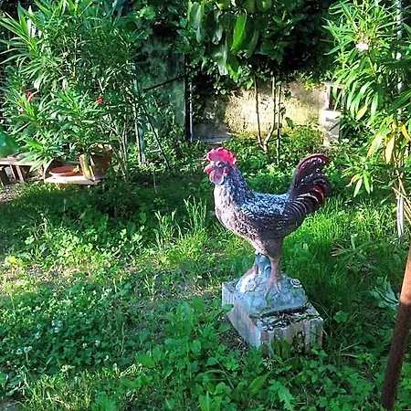 Il Giardino Del Gallo 3* Φολίνιο