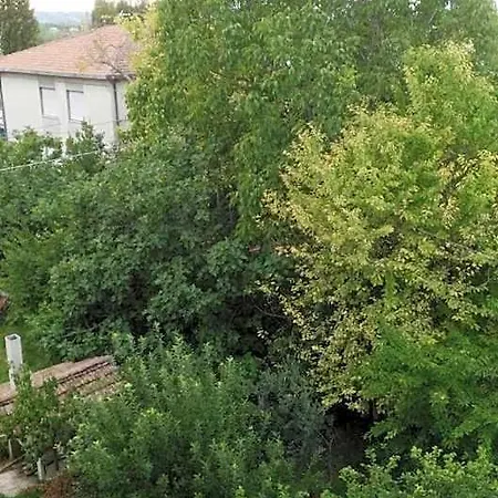 Il Giardino Del Gallo Nocleg ze śniadaniem 3*