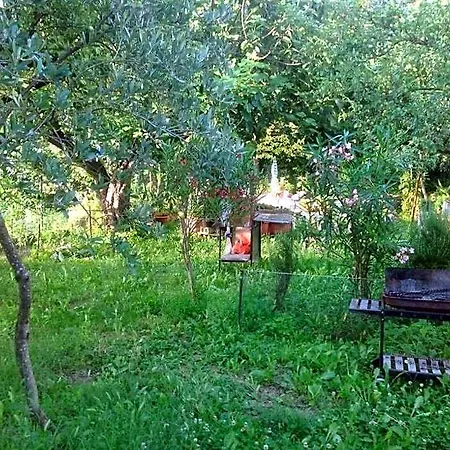 Il Giardino Del Gallo Bed and Breakfast 3*