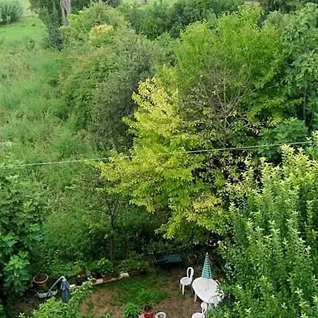 Bed and Breakfast Il Giardino Del Gallo
