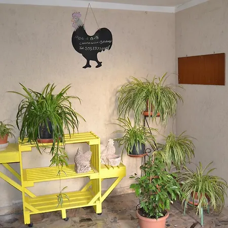 Il Giardino Del Gallo 4*