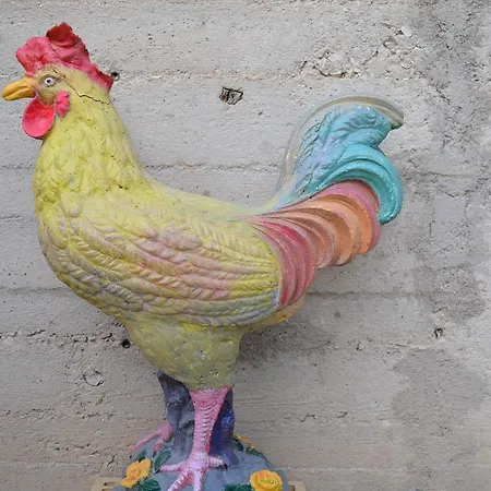 Bed and breakfast Il Giardino Del Gallo 3*