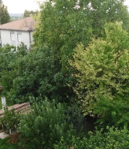 Il Giardino Del Gallo