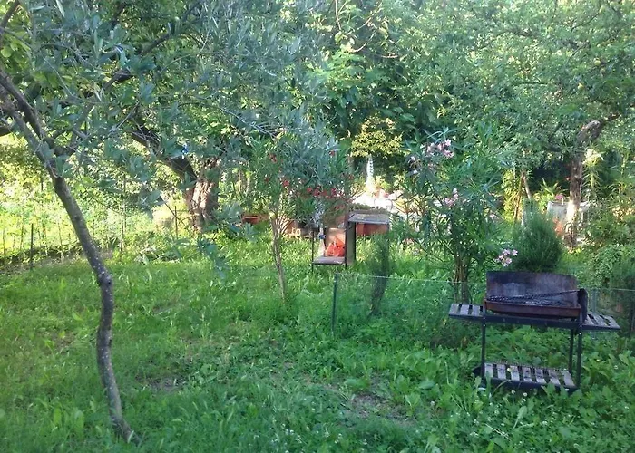 Bed & Breakfast Il Giardino Del Gallo