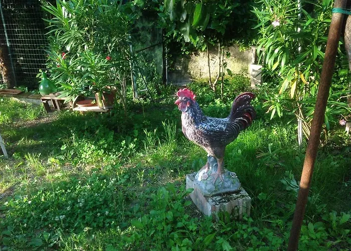 Il Giardino Del Gallo 3* Foligno