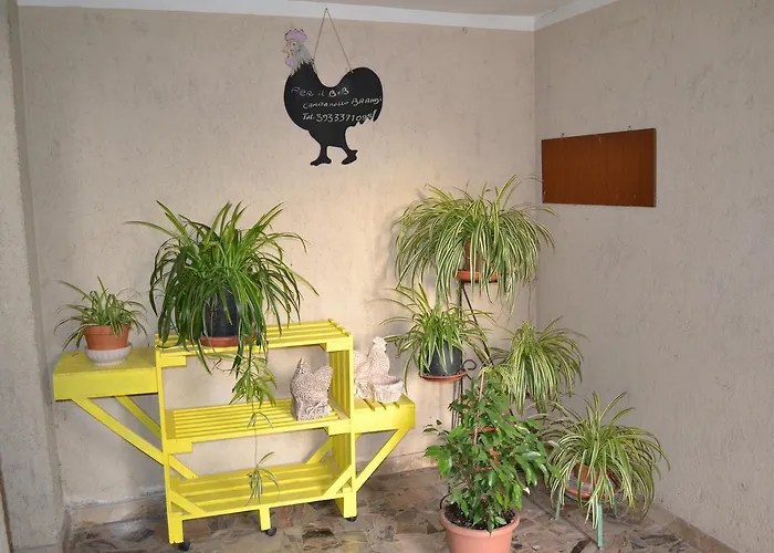 Il Giardino Del Gallo 3*