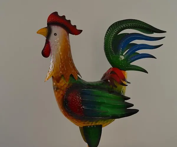 Bed & Breakfast Il Giardino Del Gallo 3*